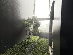 19 Nassim (D10), Apartment #624957031